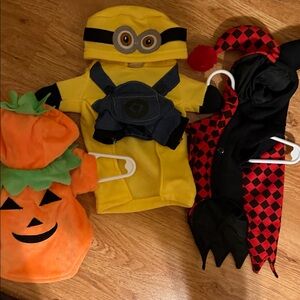 Minion Dog Outfit with Pumpkin and Jester/Harley and a skull killer Costumes
